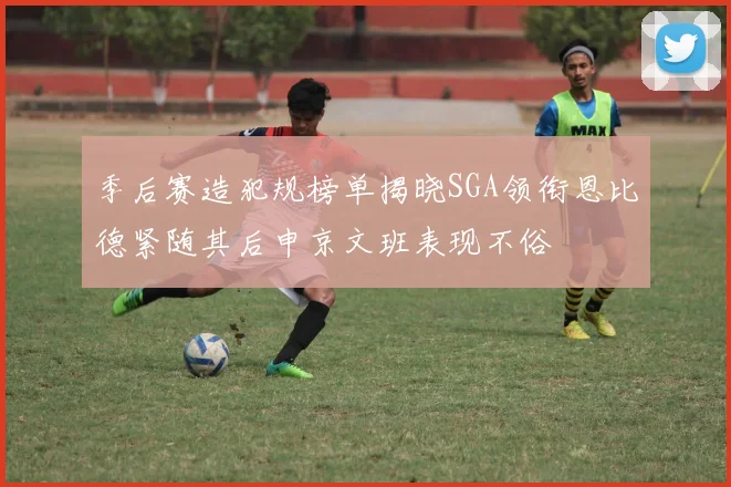 季后赛造犯规榜单揭晓SGA领衔恩比德紧随其后申京文班表现不俗