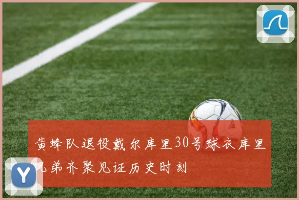 黄蜂队退役戴尔库里30号球衣库里兄弟齐聚见证历史时刻